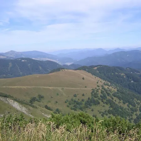 Ad Safran C. 25 Apart Otel